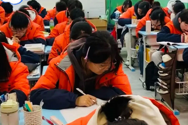 重庆艺考文化集训机构在哪些地方？正规学校位置