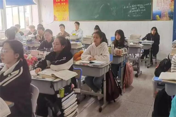 郑州艺考文化课辅导学校地址在哪里?汇总学校位置