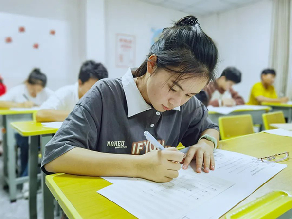 2023艺考分文理课吗（理科可以艺考吗）