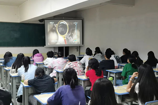 深圳艺考生文化课集训机构排名榜？有序备考机构上榜